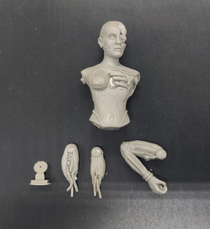 MR-AM05 Бюст Cybhell Alternity Miniatures