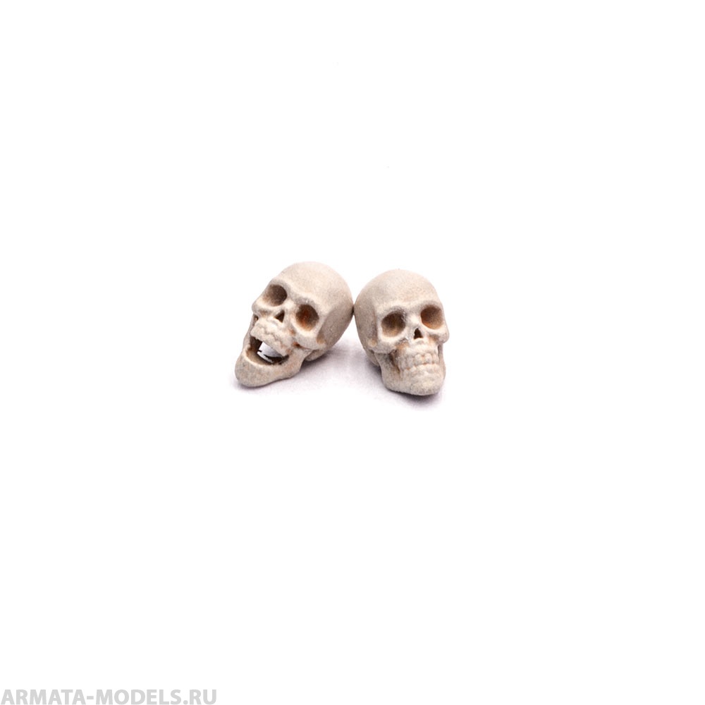 S209MWP Черепа человеческие, размер S, 20шт MiniWarPaint