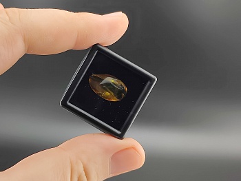 AAM0025 Янтарь с инклюзом Коллекция на ладони