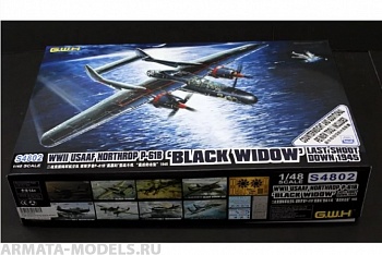 S4802 WWII US AAF Northrop P-61B Last Shoot Down 1945 Limited